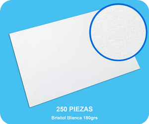 Bristol Blanca 180grs