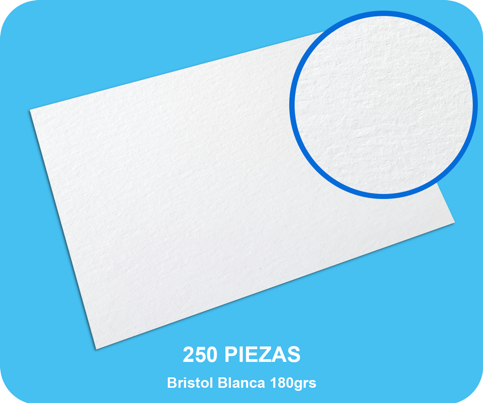 Bristol Blanca 180grs