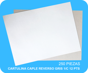 CARTULINA CAPLE REVERSO GRIS 1/C 12 PTS