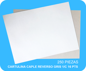 CARTULINA CAPLE REVERSO GRIS 1/C 16 PTS