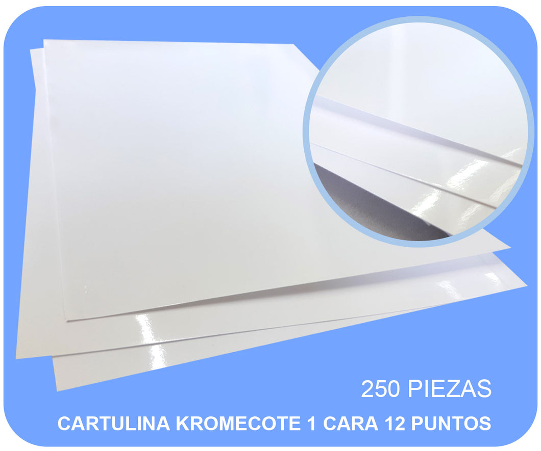 Cartulina Kromecote 1 cara 12 puntos